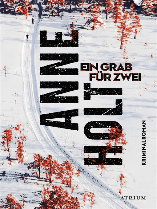 Title details for Ein Grab für zwei by Anne Holt - Wait list